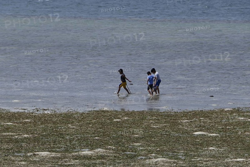 Children searching for shells and crabs on the reef top at low tide, Negros Occidental, Philippines