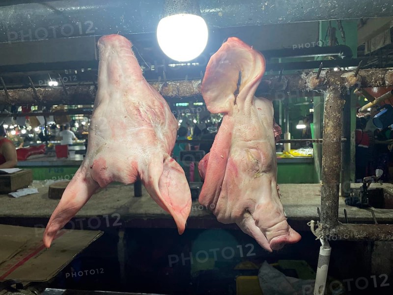 Market, market stall, pig heads, San Carlos, Negros Occidental, Philippines