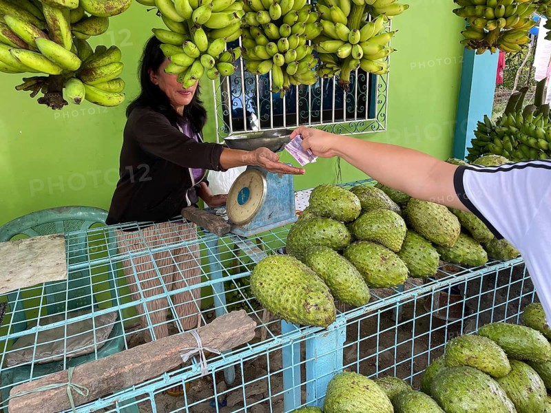 Vendor, market, market stall, customer pays, pay, money, fruit, durian, bananas, Negros Occidental, Philippines