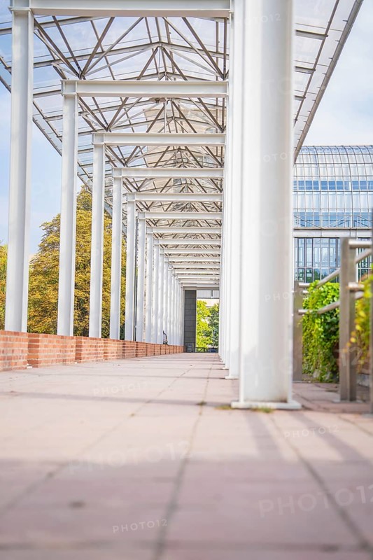 Modern colonnade with glass roof and plant environment, Munich, Germany