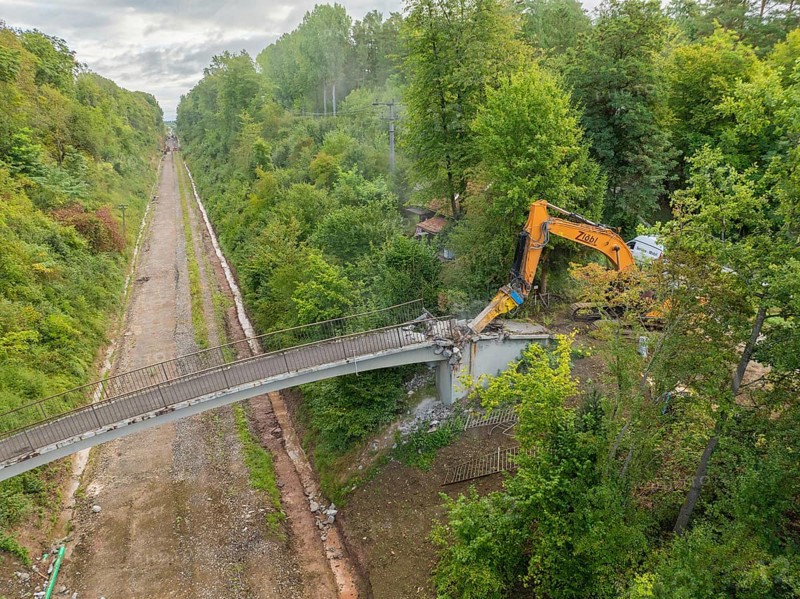 An excavator demolishes a bridge in the forest, surrounded by dense greenery and under a cloudy sky, bridge demolition, Calw, Germany