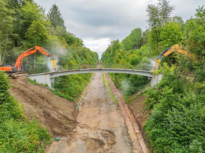 Two excavators demolishing a bridge over a forest path, surrounded by dense vegetation, bridge demolition, Calw, Germany