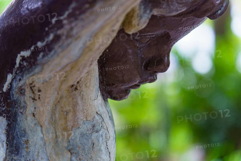 Close-up of a weathered statue's face, showing signs of age and decay, set against a blurred natural background in ronda, malaga, spain in ronda, malaga, spain