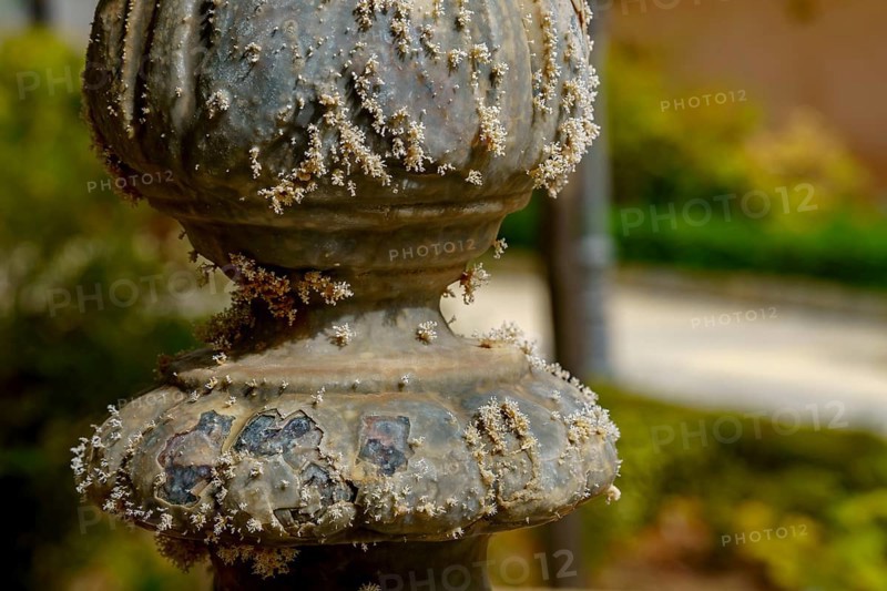 Detail of a weathered stone pillar covered in lichen, showcasing the effects of time and nature in a serene garden setting in ronda, malaga, spain in ronda, malaga, spain