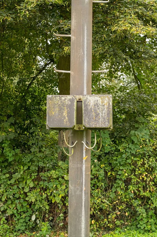 Borken, NRW, Germany, Utility pole standing in green forest with a weathered junction box covered in moss