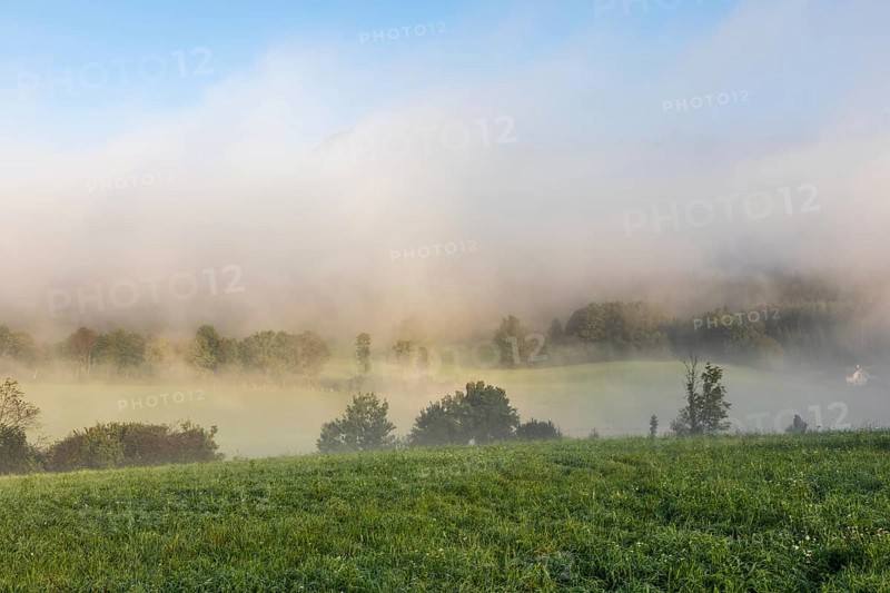 Early morning fog over the edge of a forest, Leoben, Styria, Austria