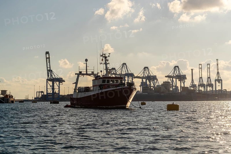 Silhouettes of industrial port with a small boat in the foreground, Marsaxlokk, Malta