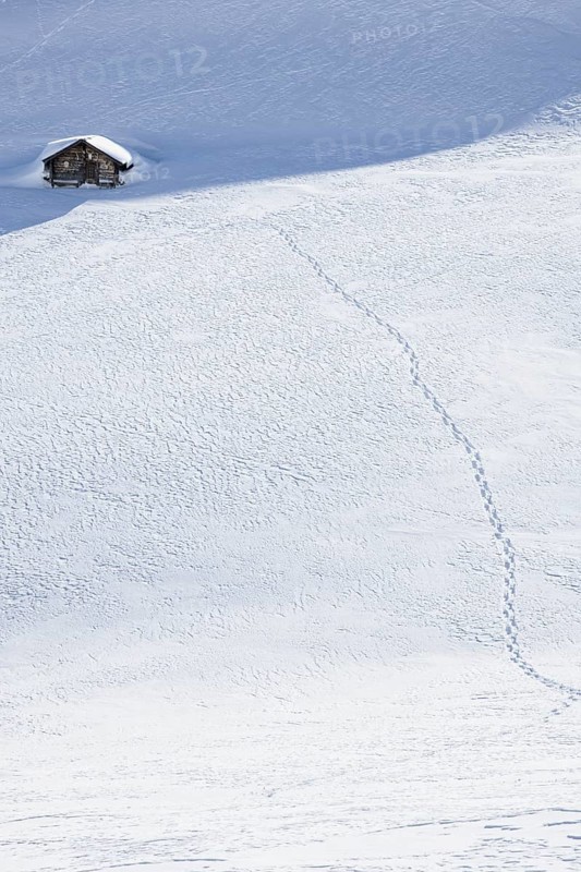 Footprints to a hut in the snow, Fiescheralp, Valais, Switzerland