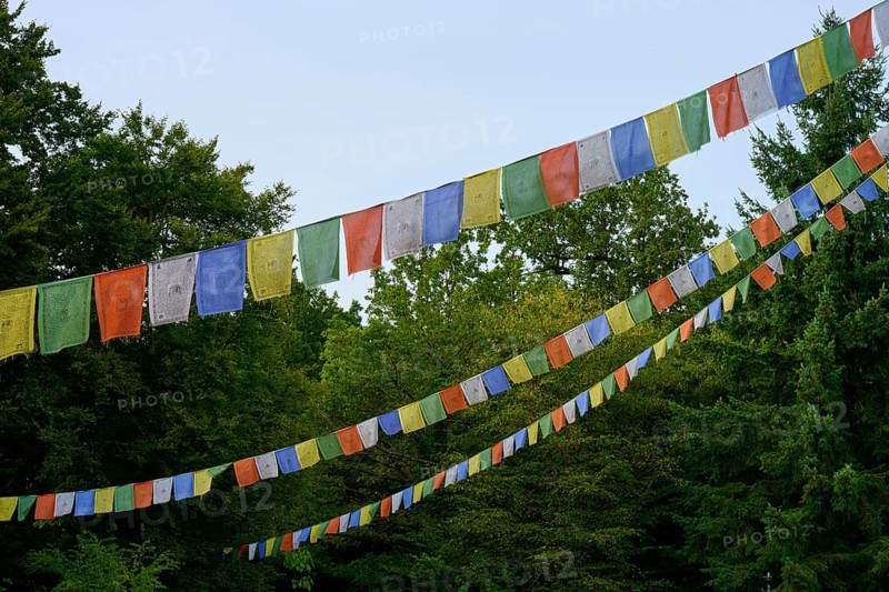 Colourful prayer flags hang over a green forest and lend a spiritual atmosphere, Bavaria, Germany