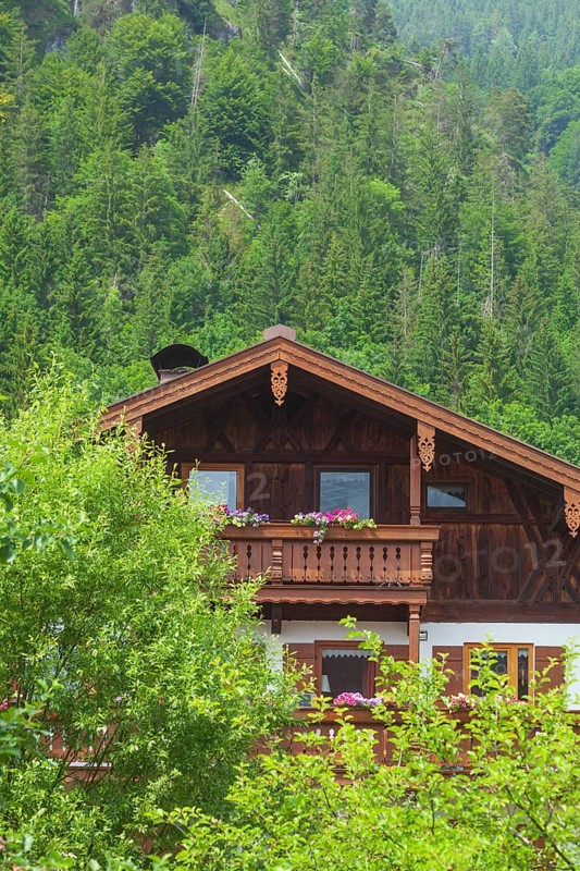 Old house with forest, Reit im Winkl, Chiemgau, Upper Bavaria, Bavaria, Germany