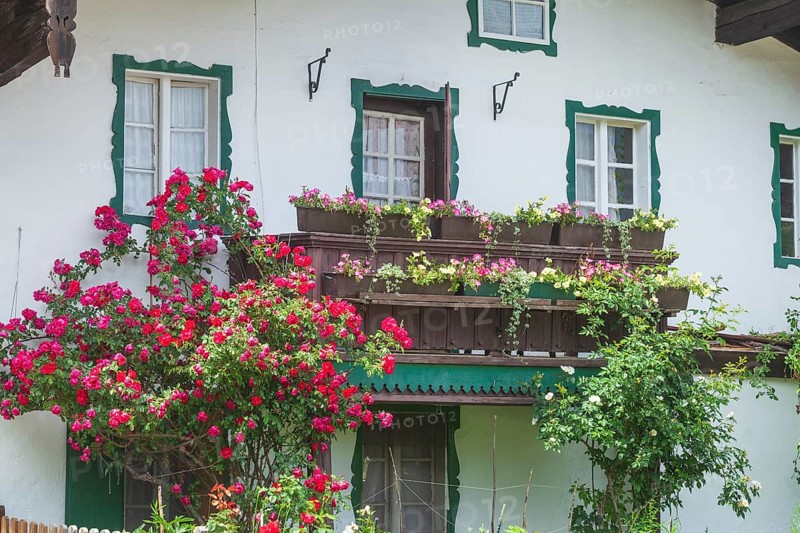 Balcony with flowers and flower boxes on an old house, Reit im Winkl, Chiemgau, Upper Bavaria, Bavaria, Germany