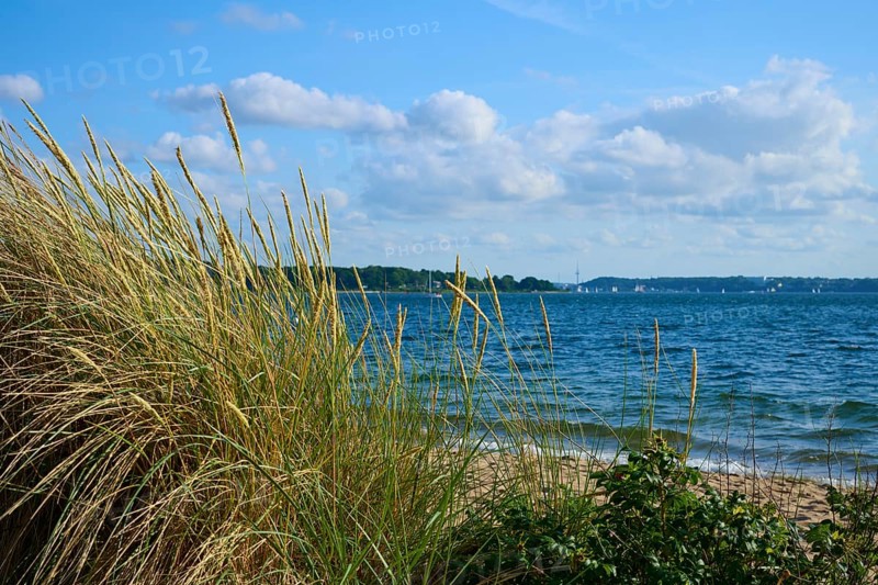 Beach dunes overlooking the sea under a partly cloudy sky, Heikendorf, Plön district, Kiel Fjord, Schleswig-Holstein, Germany
