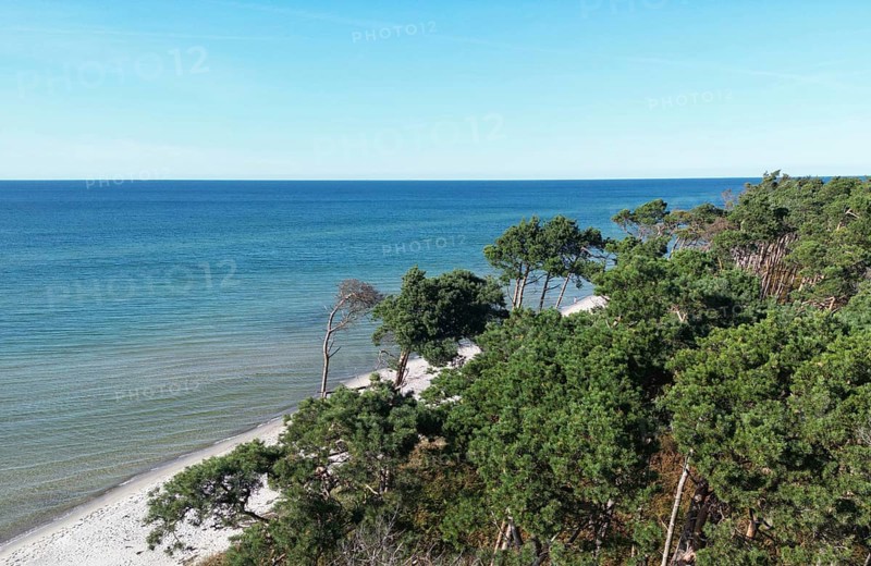 Drone image of the west beach on the Fischland Darß peninsula, Mecklenburg-Western Pomerania, Germany