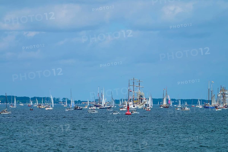 Numerous sailing boats sailing on the blue sea with a wide view of the horizon, Windjammer Parade Kiel 2025, Heikendorf, Plön district, Kiel Fjord, Schleswig-Holstein, Germany