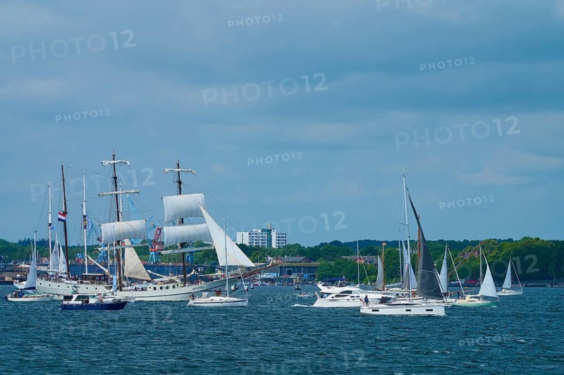 Boats and large sailors on the sea in front of a city under a blue sky, Windjammer Parade Kiel 2025, Heikendorf, Plön district, Kiel Fjord, Schleswig-Holstein, Germany