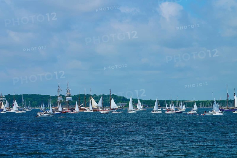 Numerous sailing boats and a large sailing ship on the open sea with a coastal view, Windjammer Parade Kiel 2025, Heikendorf, Plön district, Kiel Fjord, Schleswig-Holstein, Germany