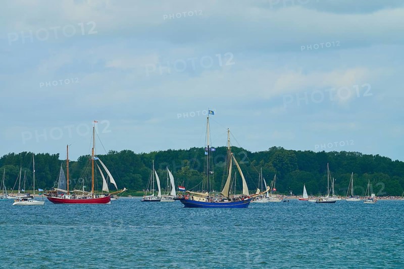 Sailing boats and yachts on calm water with wooded coastline and cloudy sky, Windjammer Parade Kiel 2025, Heikendorf, Plön district, Kiel Fjord, Schleswig-Holstein, Germany