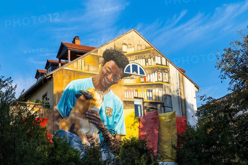 Large graffiti on a house facade, man, sportsman, dog, Märzgasse, Heidelberg, Kurpfalz, Baden-Württemberg, Germany