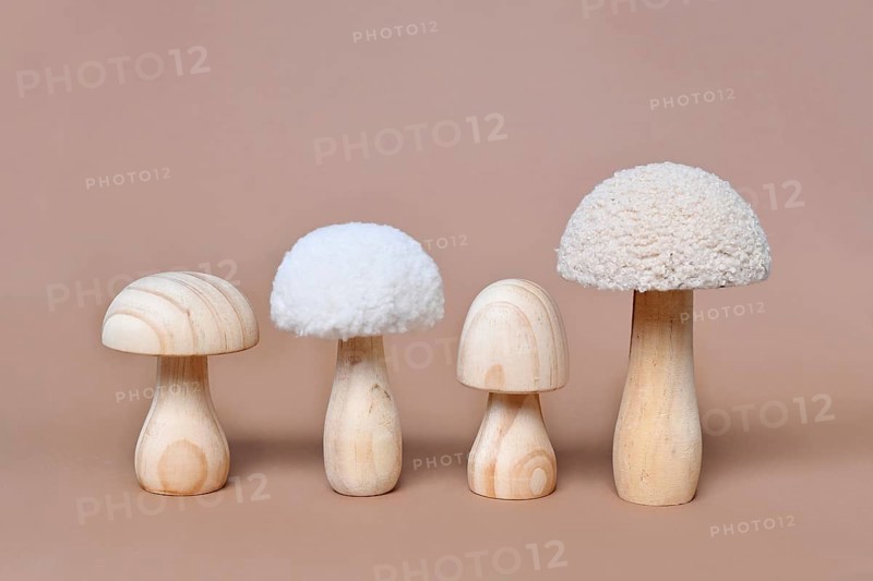 Four wooden mushroom ornaments in a row on beige background