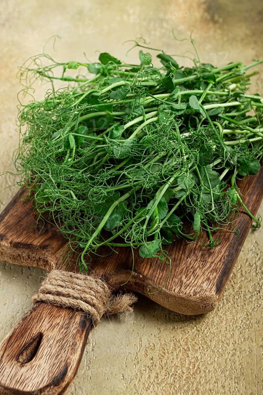 A bunch of vibrant green pea shoots lies on a rustic wooden cutting board, showcasing their delicate tendrils, ready for use in salads or as a garnish in various dishes