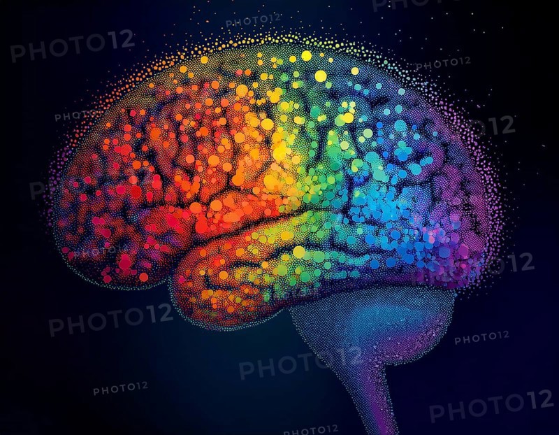 Vivid artistic interpretation of a human brain featuring a spectrum of colors and dotted patterns. Expresses creativity, neuroscience, and cognitive exploration in a visually striking style, AI generated