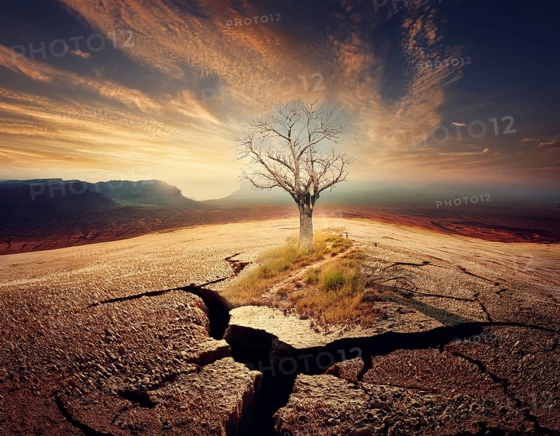 Life Concept. Existence survival being consciousness. Growth of new life, AI generated