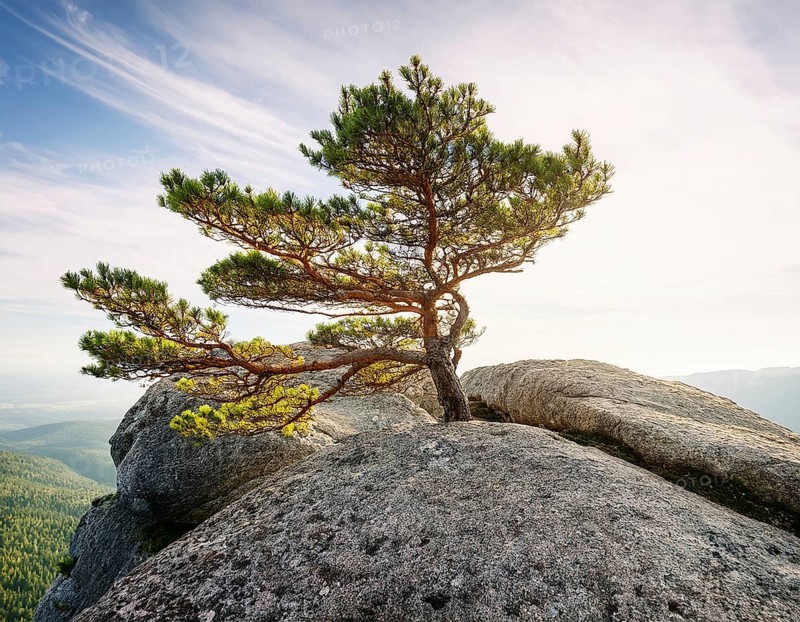 Life Concept. Existence survival being consciousness. Growth of new life, AI generated