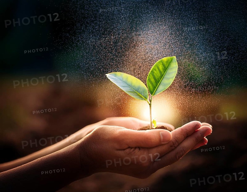 Life Concept. Existence survival being consciousness. Growth of new life, AI generated