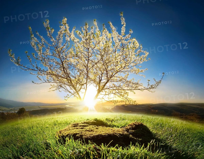 Life Concept. Existence survival being consciousness. Growth of new life, AI generated