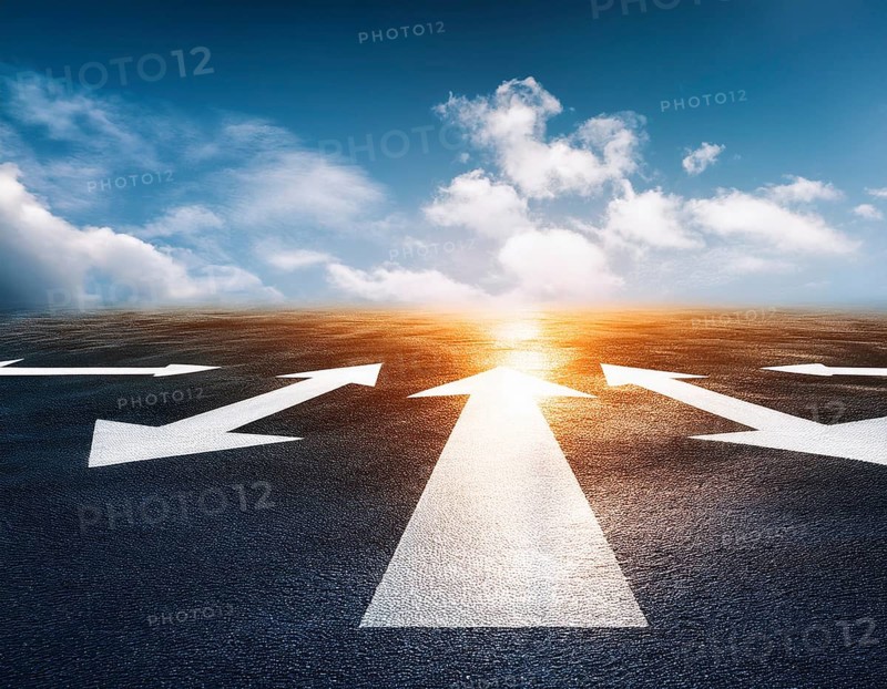 Directional Signpost at Forked Path Illustrating Decision and Choices in Nature, AI generated