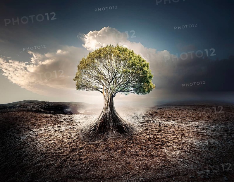 Life Concept. Existence survival being consciousness. Growth of new life, AI generated