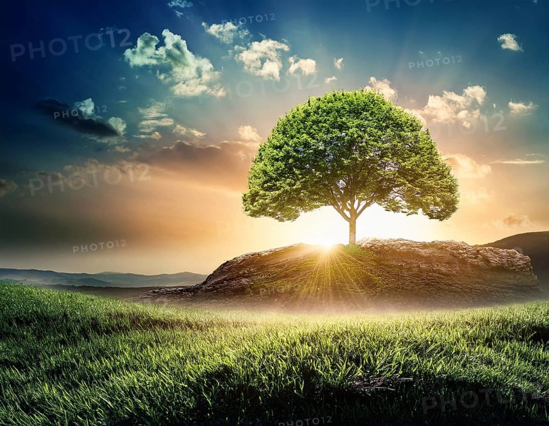 Ecology and Environment concept. Environment Earth Day In the hands of trees growing seedlings, reduce global warming, AI generated
