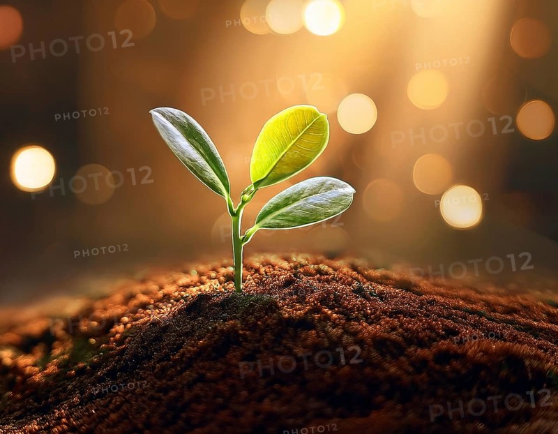 Life Concept. Existence survival being consciousness. Growth of new life, AI generated