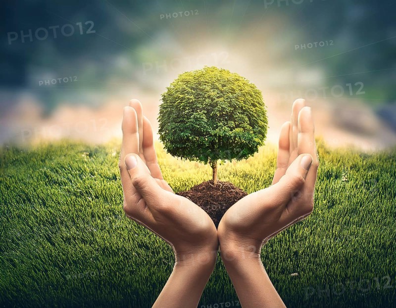 Life Concept. Existence survival being consciousness. Growth of new life, AI generated