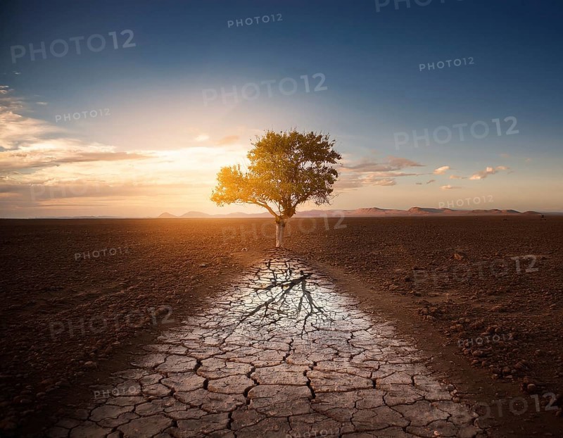 Life Concept. Existence survival being consciousness. Growth of new life, AI generated