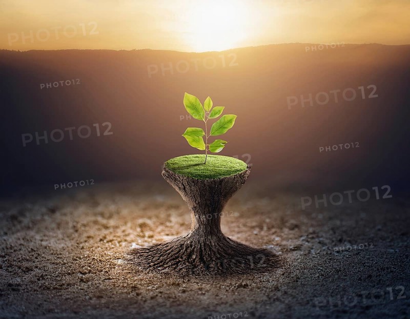 Life Concept. Existence survival being consciousness. Growth of new life, AI generated