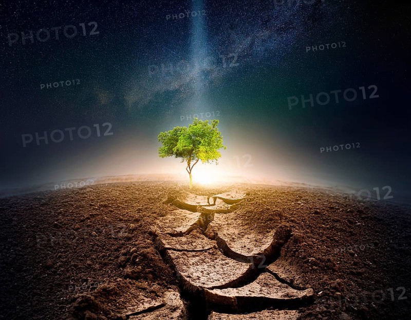 Life Concept. Existence survival being consciousness. Growth of new life, AI generated