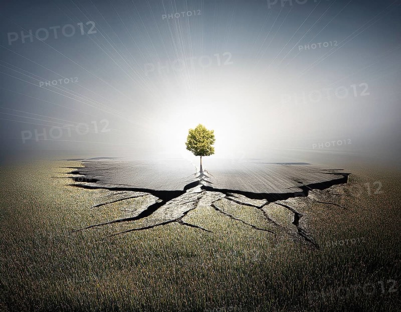 Life Concept. Existence survival being consciousness. Growth of new life, AI generated