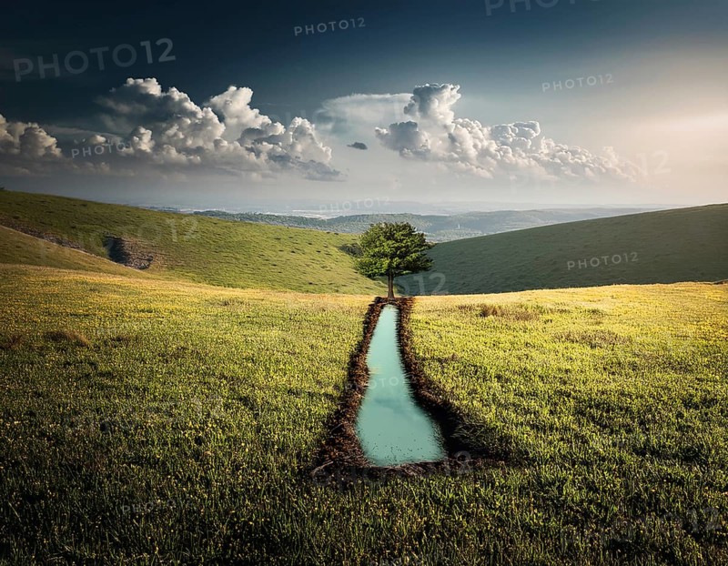 Life Concept. Existence survival being consciousness. Growth of new life, AI generated