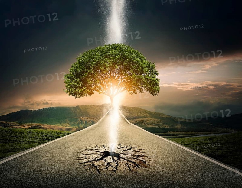 Life Concept. Existence survival being consciousness. Growth of new life, AI generated