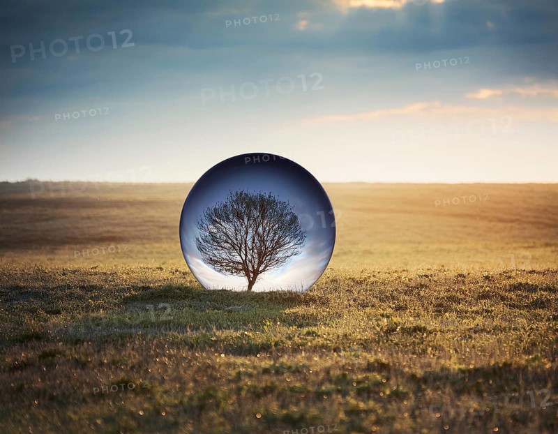 Life Concept. Existence survival being consciousness. Growth of new life, AI generated