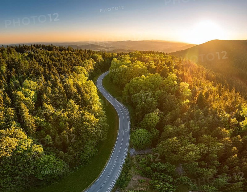 A scenic aerial view of a serpentine road surrounded by lush green forest, illuminated by soft golden hour sunlight, conveying serenity and natural beauty in a springtime setting, AI generated
