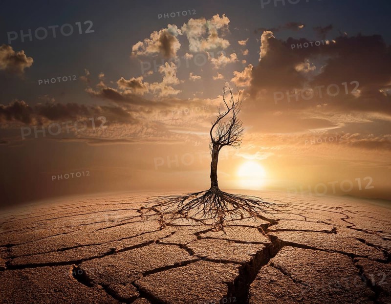 Life Concept. Existence survival being consciousness. Growth of new life, AI generated
