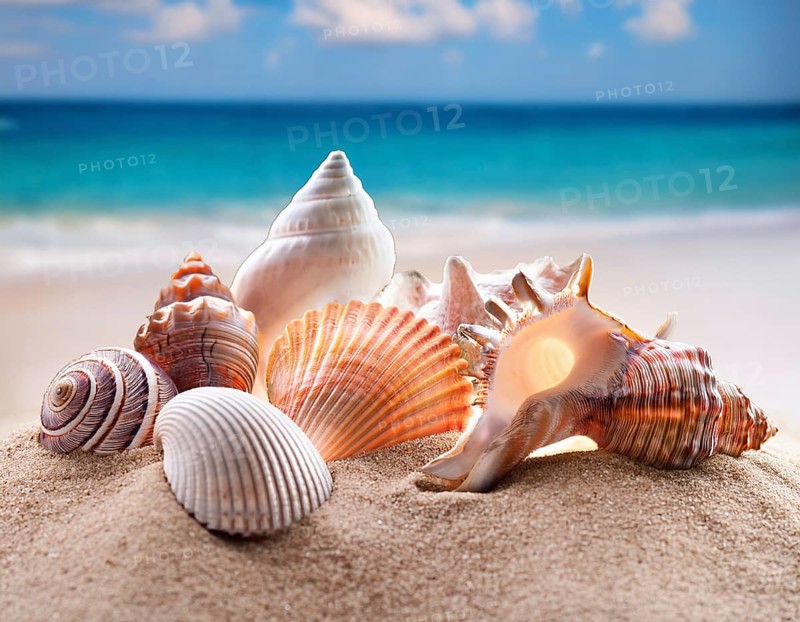 Composition with beach water, sand, starfish and seashells. Summer vacations concept, AI generated