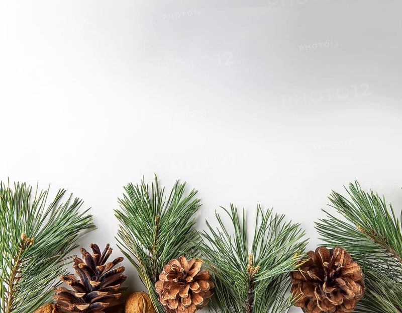 Holiday-themed flat lay with evergreen pine branches and pine cones, evoking a minimalist and festive atmosphere, perfect for winter and seasonal designs, greeting cards, or decorating ideas, AI generated