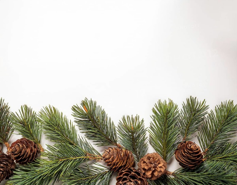 Holiday-themed flat lay with evergreen pine branches and pine cones, evoking a minimalist and festive atmosphere, perfect for winter and seasonal designs, greeting cards, or decorating ideas, AI generated