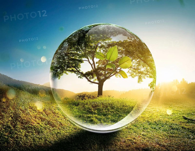 Ecology and Environment concept. Environment Earth Day In the hands of trees growing seedlings, reduce global warming, AI generated