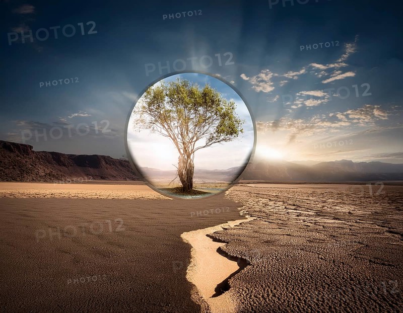 Life Concept. Existence survival being consciousness. Growth of new life, AI generated