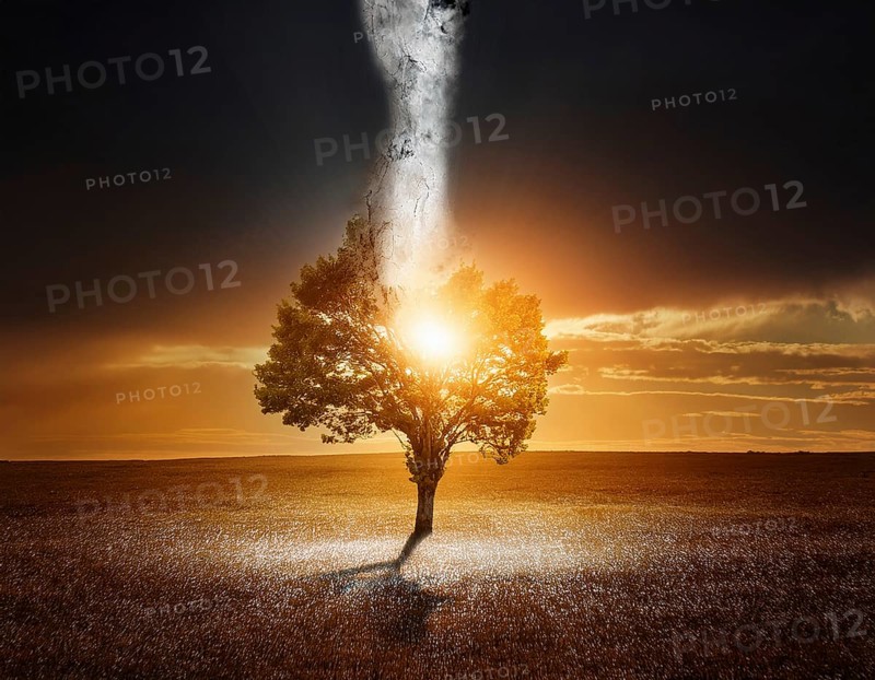 Life Concept. Existence survival being consciousness. Growth of new life, AI generated