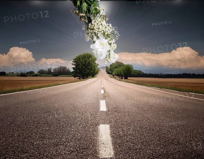 Life Concept. Existence survival being consciousness. Growth of new life, AI generated